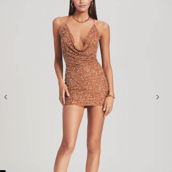 Retrofete Dresses & Skirts - Retrofete Bronze Mitch Dress